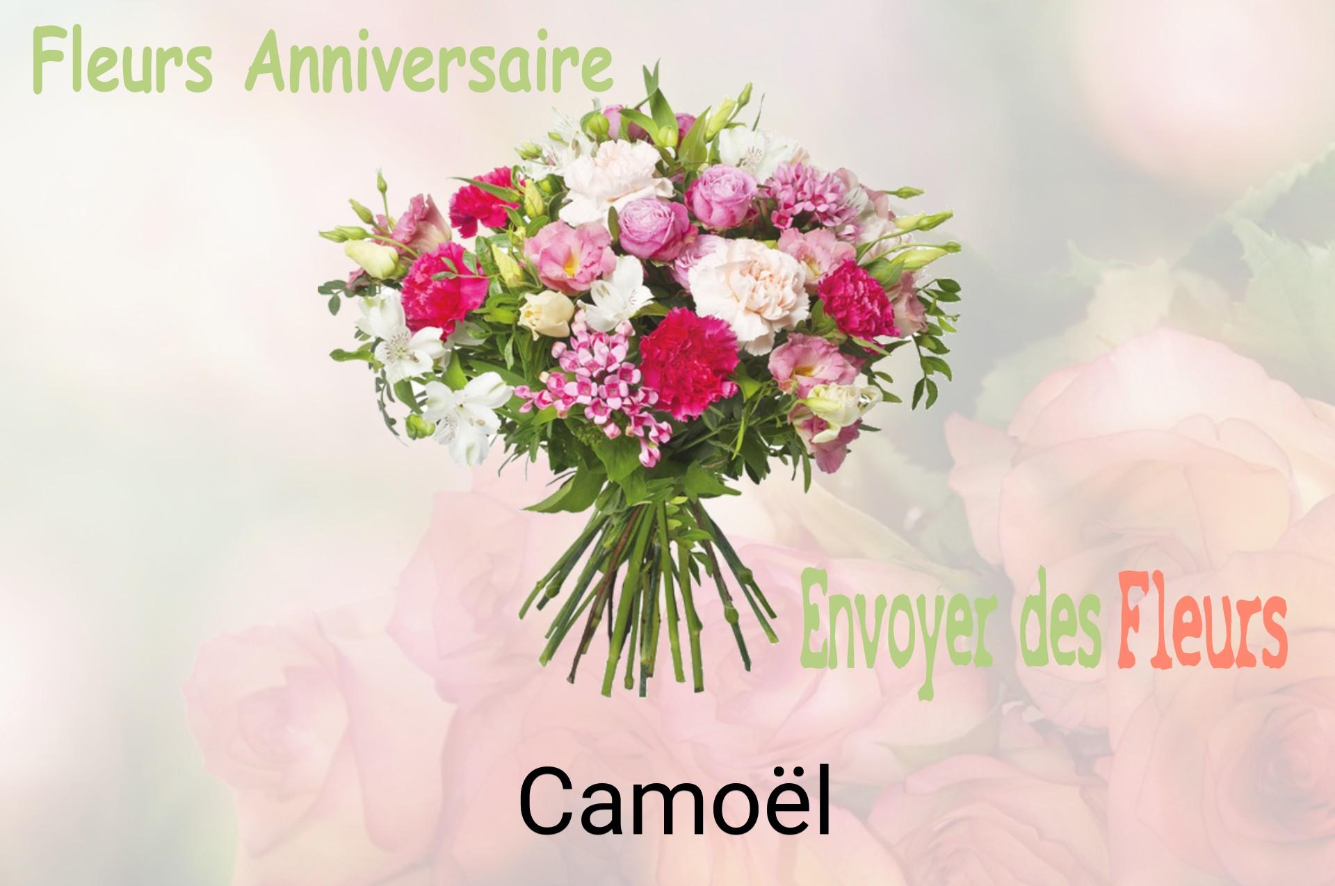 Bouquet de fleurs d’anniversaire livré à Camoël