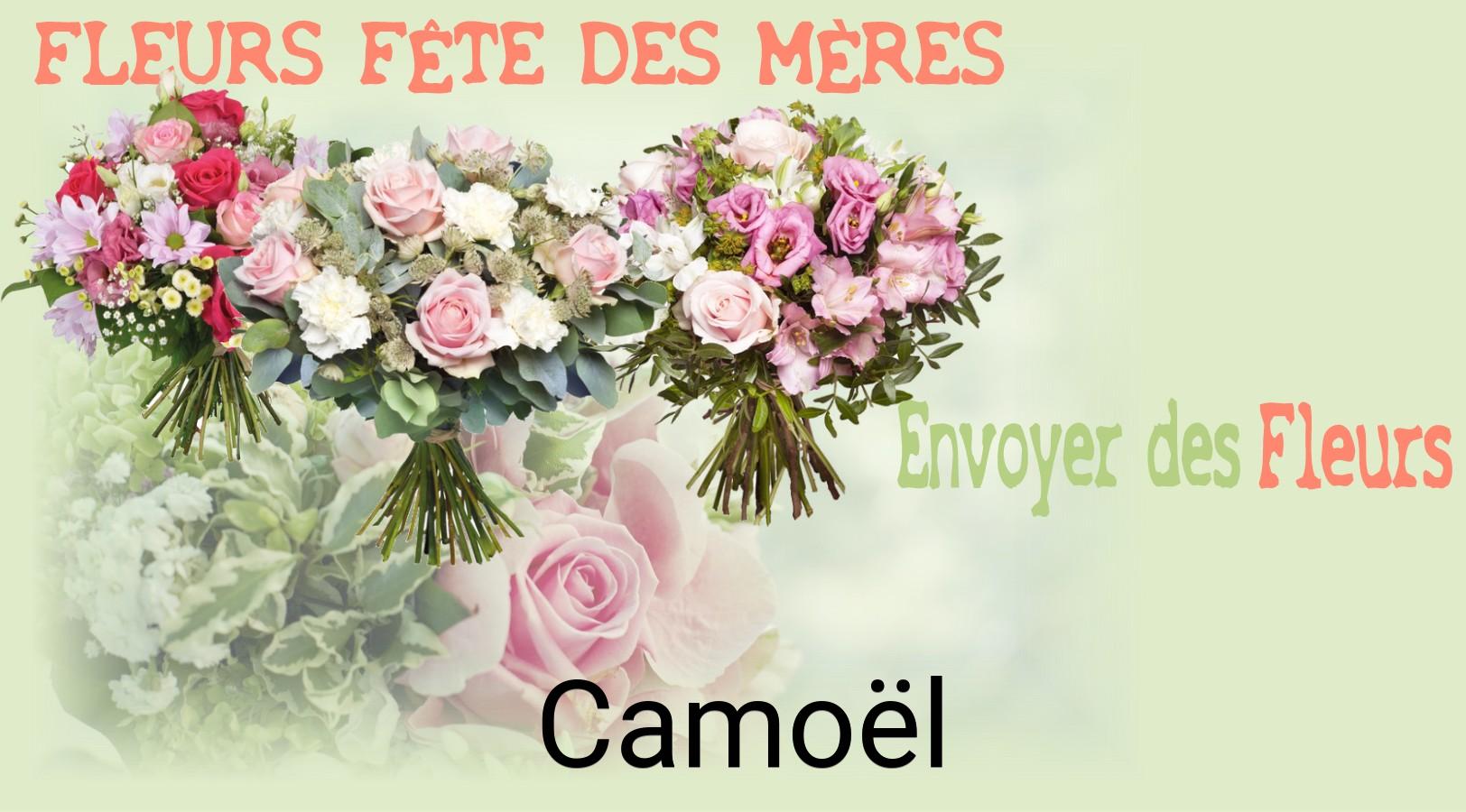 Bouquet de Fête des Mères livré à Camoël